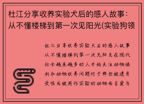 杜江分享收养实验犬后的感人故事：从不懂楼梯到第一次见阳光(实验狗领养)