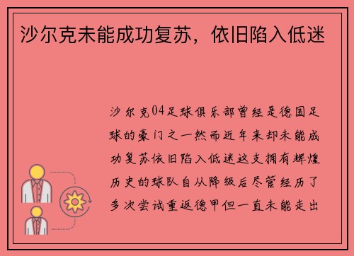 沙尔克未能成功复苏，依旧陷入低迷